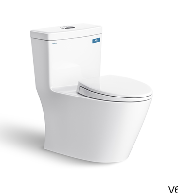 Bàn cầu liền khối Platinum P.11.320